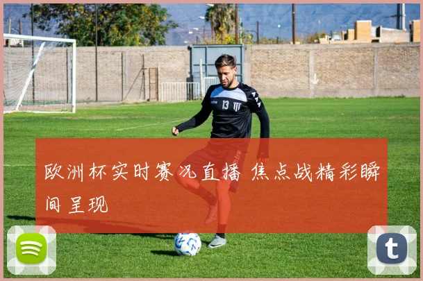 欧洲杯实时赛况直播 焦点战精彩瞬间呈现
