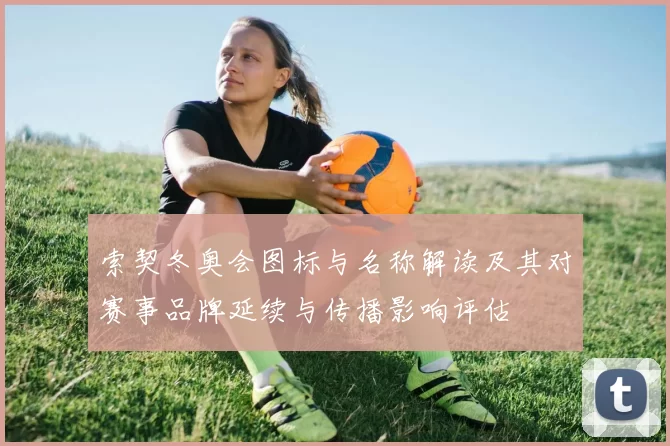 索契冬奥会图标与名称解读及其对赛事品牌延续与传播影响评估