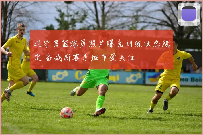 辽宁男篮球员照片曝光训练状态稳定 备战新赛季细节受关注