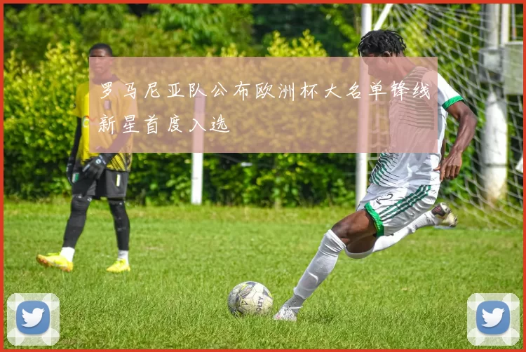 罗马尼亚队公布欧洲杯大名单锋线新星首度入选