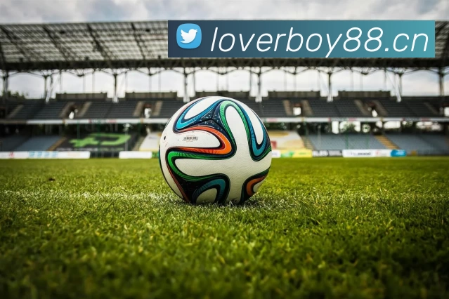 压球首页平台生态图